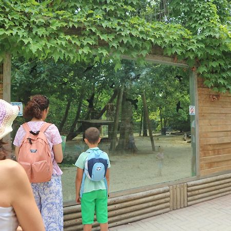 利尼亚诺萨比亚多罗Letizia公寓 外观 照片